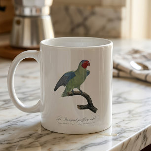 Mug Perroquet à joues rouges mâle, Geoffroyus geoffroy