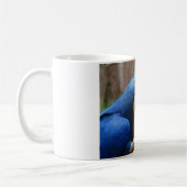 Mug perroquet de blauaras (Gauche)