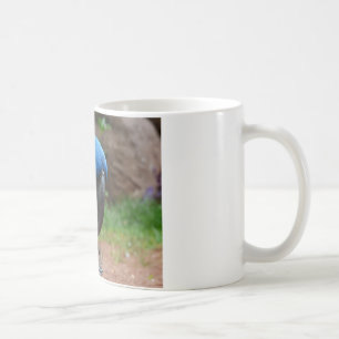 Mug perroquet de blauaras