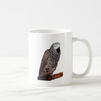 Mug Perroquet de gris africain