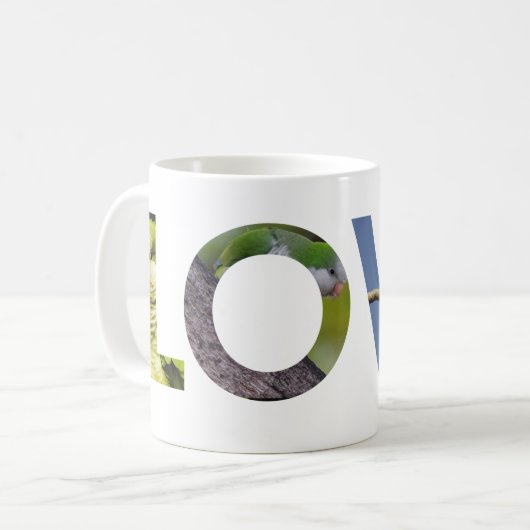 Mug Perroquet de Quaker (Devant gauche)