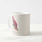 Mug Perroquet éclectus de Vosmaer, Eclectus Roratus Vo (Devant gauche)
