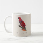 Mug Perroquet éclectus de Vosmaer, Eclectus Roratus Vo (Gauche)