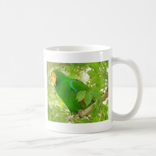 Mug Perroquet masculin d'Eclectus (Droite)