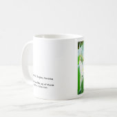 Mug Perroquet, Rio Chagres, Panama (Devant gauche)