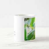 Mug Perroquet, Rio Chagres, Panama (Centre)