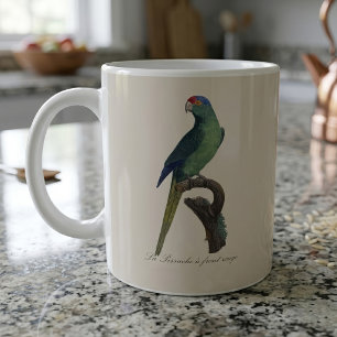 Mug Perruche à front orange, Eupsittula Canicularis