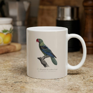 Mug Perruche à gros bec, Tanygnathus megalorynchos