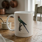 Mug Perruche à longue queue, Psittacula Longicauda