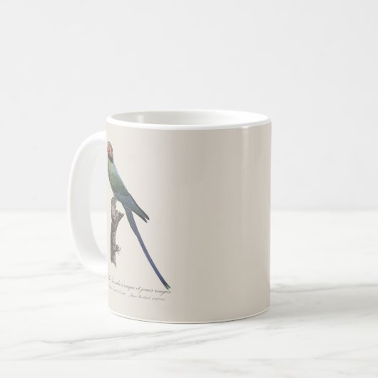 Mug Perruche à longue queue, Psittacula Longicauda (Devant gauche)