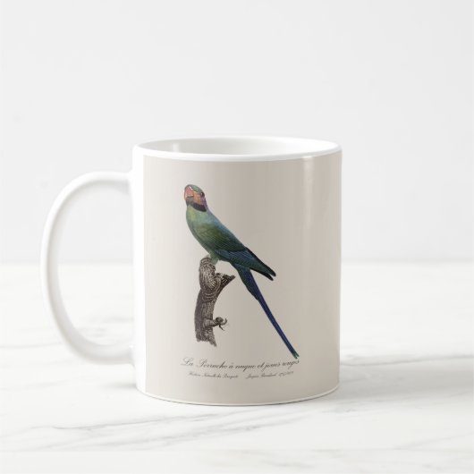 Mug Perruche à longue queue, Psittacula Longicauda (Gauche)