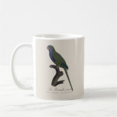 Mug Perruche Moine, Myiopsitta Monachus (Gauche)