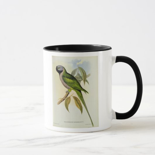 Mug Perruche : Palaeornis Derbianus, c.1850 (Droite)