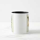 Mug Perruche : Palaeornis Derbianus, c.1850 (Centre)