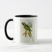 Mug Perruche : Palaeornis Derbianus, c.1850 (Gauche)