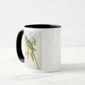 Mug Perruche : Palaeornis Derbianus, c.1850 (Devant gauche)