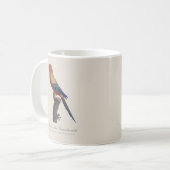 Mug Perruche soleil mâle, Aratinga solstitialis (Devant gauche)