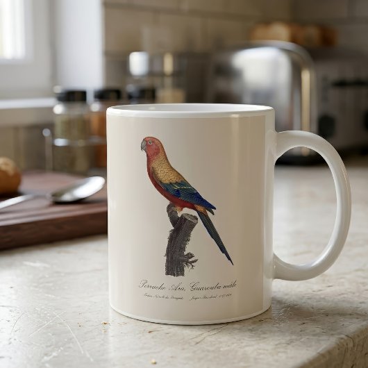 Mug Perruche soleil mâle, Aratinga solstitialis