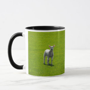 Mug Petit agneau