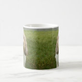 Mug Petit Basette Griffon Vendeen (Centre)