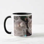 MUG PETIT CAT DE GRIS (Gauche)