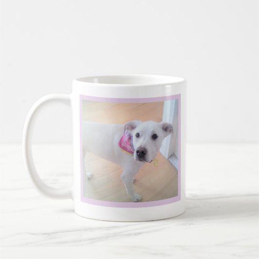 Mug Petit chien avec visage doux Un message photo Text (Gauche)