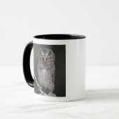 Mug Petit-duc maculé, Megascops asio, Otus 2 (Devant gauche)