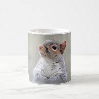 Petit écureuil gris doux et souple