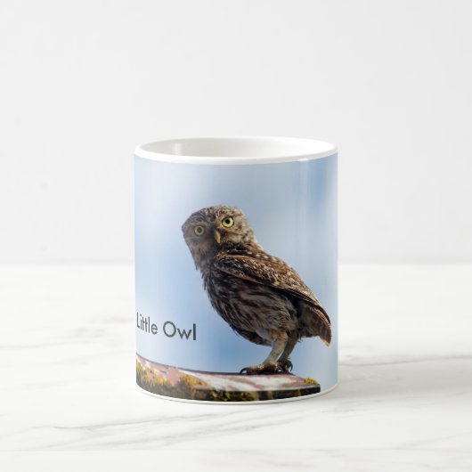 Mug Petit hibou (Centre)