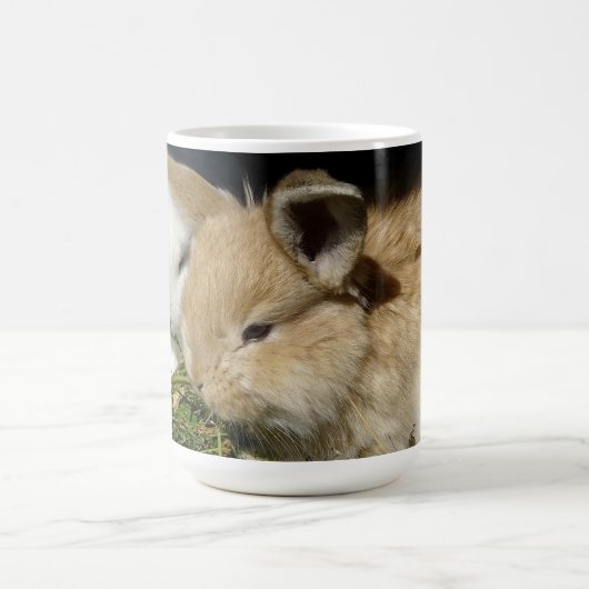 Mug Petit lapin moelleux (Centre)