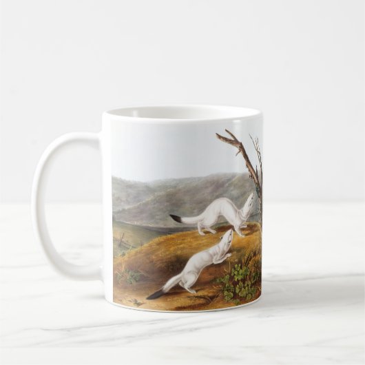 Mug Petit Nimble Weasel Putorius agilis Illustration (Gauche)