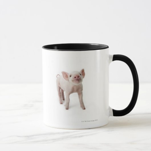 Mug Petit porcelet (Droite)