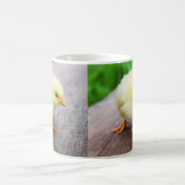 Mug Petit poussin (Centre)