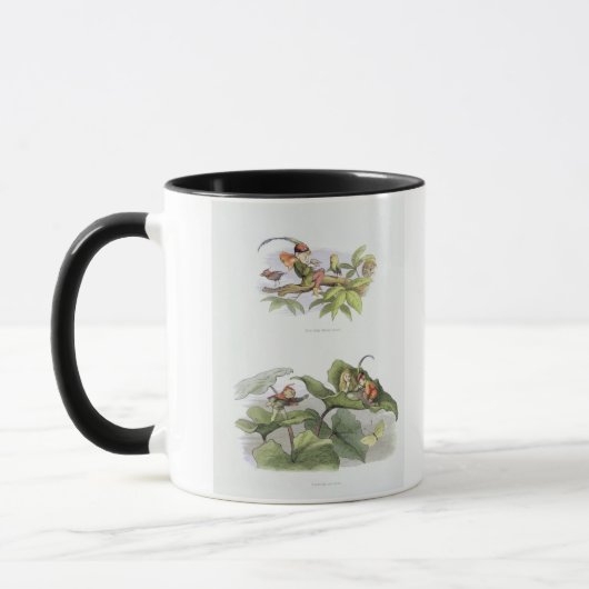 Mug Petite birdie pauvre taquinée, et cour abrégée (Gauche)