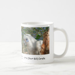 Mug Peu (Bill court) Corella