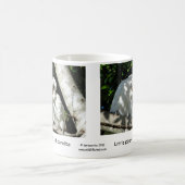 Mug Peu (Bill court) Corellas (Centre)