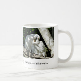 Mug Peu (Bill court) Corellas