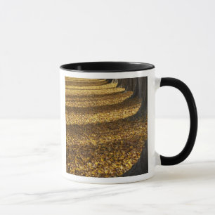 Mug Peupliers en automne, lac Wanaka, Otago,