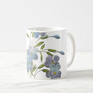 Mug phlox (Phlox reptans) par Redouté