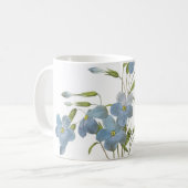 Mug phlox (Phlox reptans) par Redouté (Devant gauche)