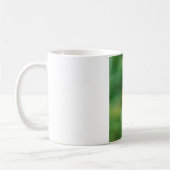Mug phoenicurus ochrurus (Gauche)