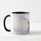 Mug Phoque à harpe mère avec son petit (Gauche)