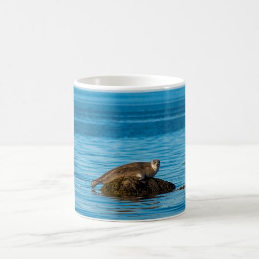 Mug Phoque commun (Centre)