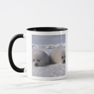 Mug Phoque du Groenland (Phoca groenlandica) Jeunes ph