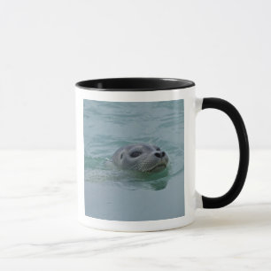 Mug Phoque marin nageant dans le lac glaciaire Jokulsa