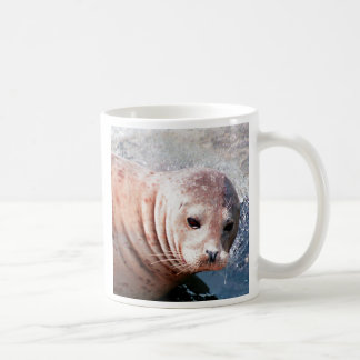 Mug Phoque réfléchi