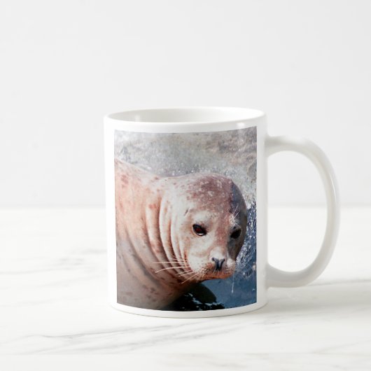 Mug Phoque réfléchi (Droite)