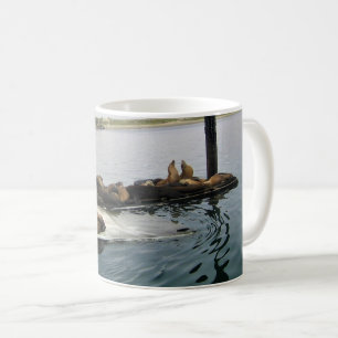 Mug Phoques du port, Morro Bay, Californie