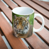 Mug Photo Big Cat Sumatran Tiger