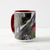 Mug Photo Cardinal Pine des neiges (Devant gauche)